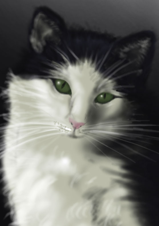 /Ilustración de la gata Palmira con ojos verde. Realizado en colores grises y ojos de color verde. Sobre foam 42xm x 30cm