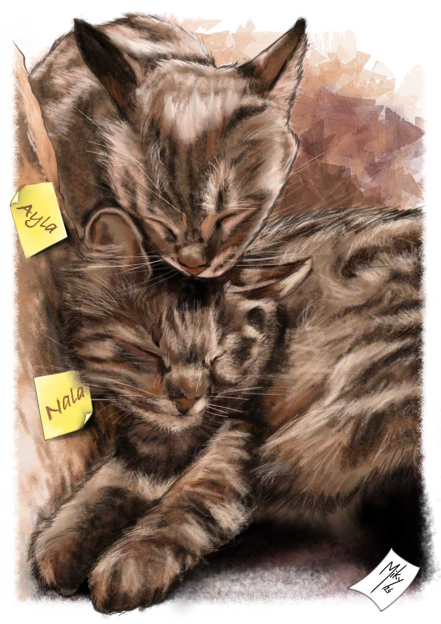 /Ilustración de dos preciosas gatas. Durmiendo una encima de la otra