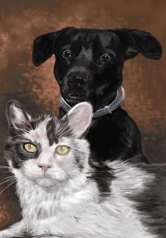 Retrato de un perro y un gato posando tranquilamente y muy amigos