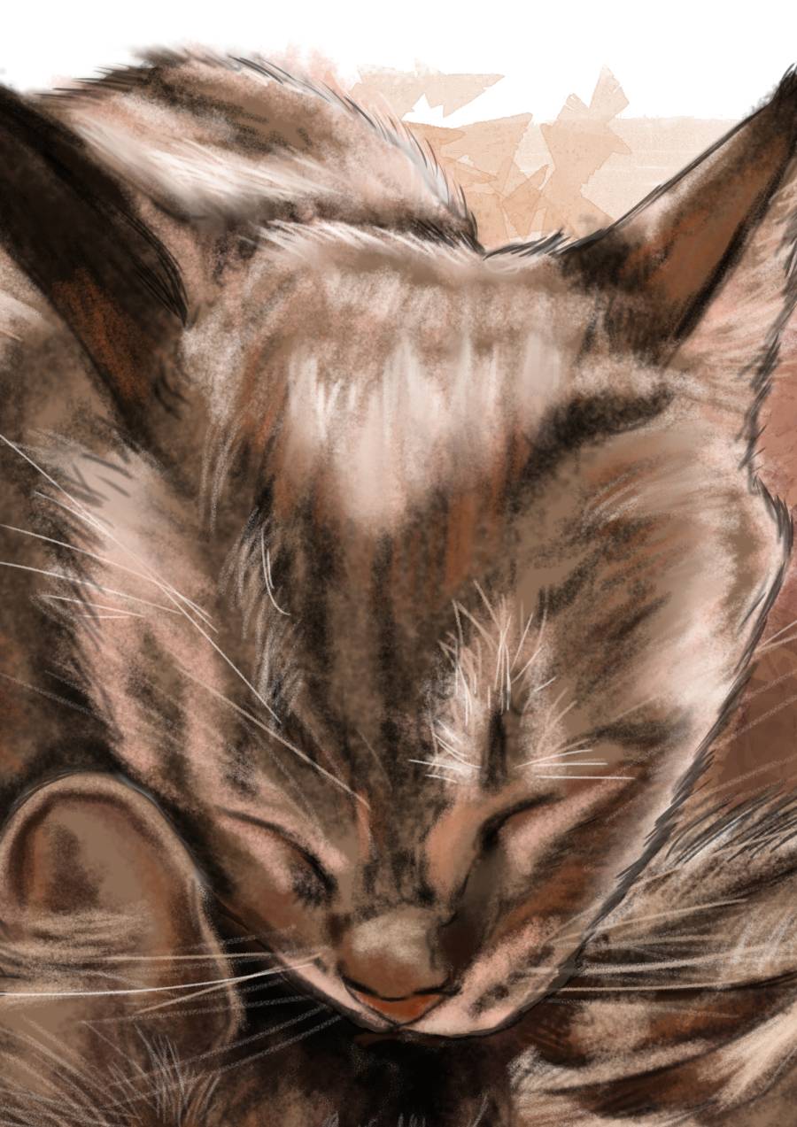 Detalle 2 Dibujo de dos gatos durmiendo