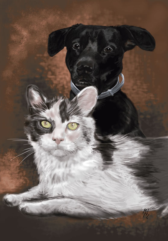 Detalle 1 Retrato de un perro y un gato posando tranquilamente y muy amigos