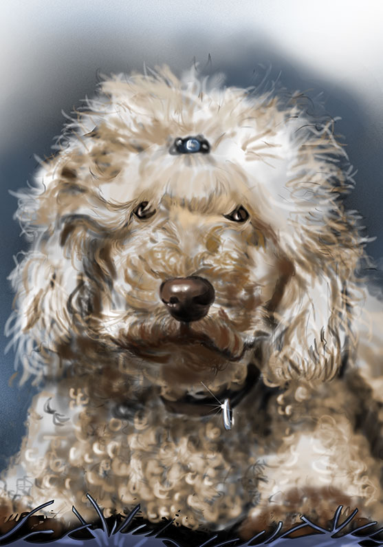Detalle 1 Dibujo de un perro caniche