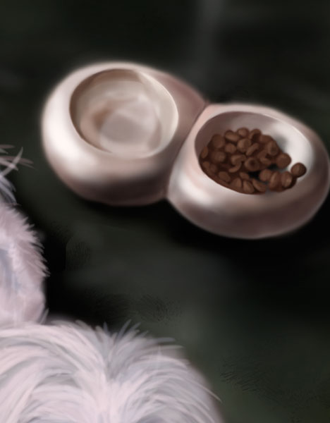 Detalle 3 Ilustración de la perra de raza Bichón Maltes posando junto con su cuenco de comida. Sobre foam 42xm x 30cm