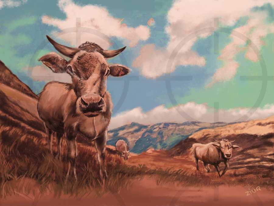 Detalle 1 Colección ZIUR: Toros pastando en  un prado. Cuadro realizado con técnica mixta sobre lienzo