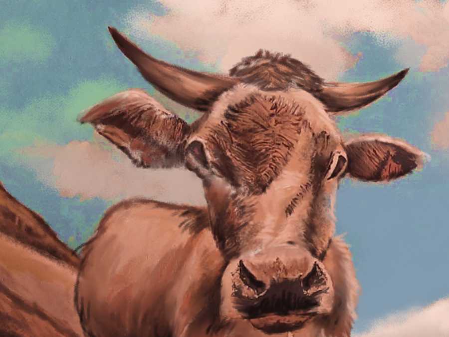 Detalle 2 Colección ZIUR: Toros pastando en  un prado. Cuadro realizado con técnica mixta sobre lienzo